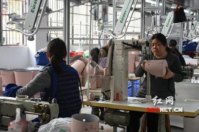 筑巢引鳳 邵東打造產(chǎn)業(yè)集聚發(fā)展“孵化器”